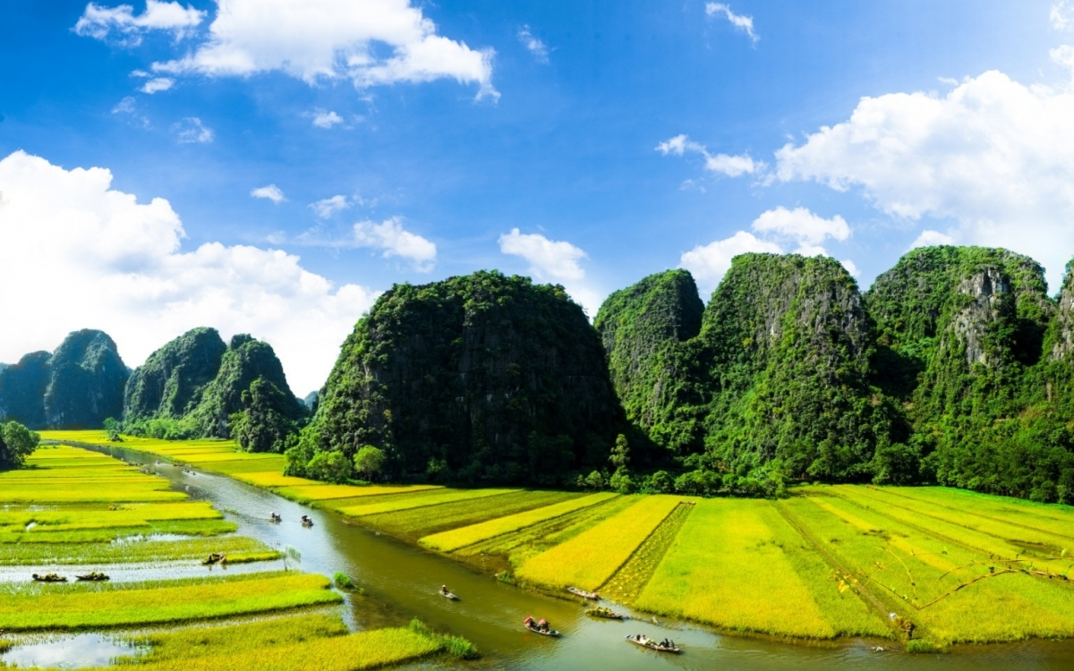 vietnam vietnam